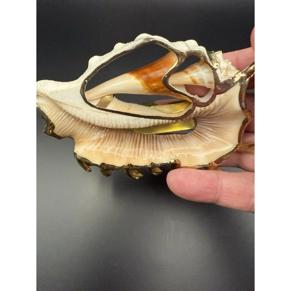 women belt buckle , Cronch. Ocean And Shell Theme. Accessory To Beautify A Belt.